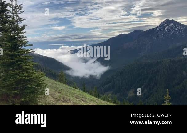Hurricane ridge road Stock Videos & Footage - HD and 4K Video Clips - Alamy
