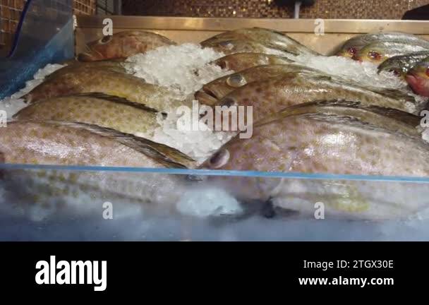 rui fish display for sale at local market in Bangladesh Stock Video ...