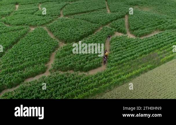 Collective direction Stock Videos & Footage - HD and 4K Video Clips - Alamy