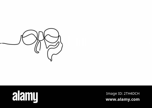 Human skull drawn in one line, stylized on a white background ...