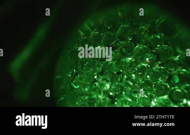 Morula Animation The concept of the ovum. Animation of early embryonic development. Cell ...