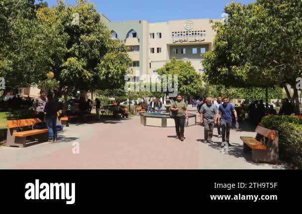 Students at the Islamic University of Gaza in Gaza City, West Bank, the ...
