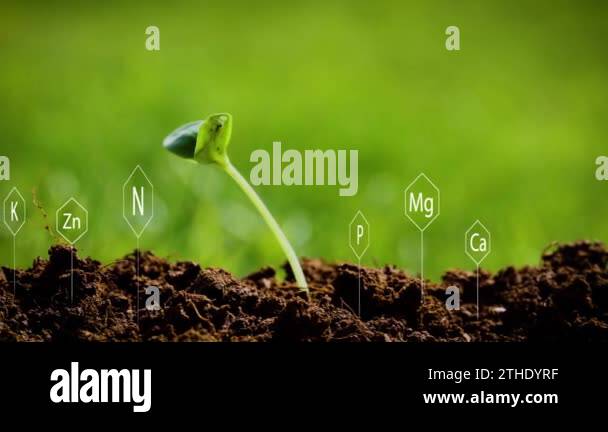 Chemical symbols of calcium, magnesium, potassium, nitrogen and ...