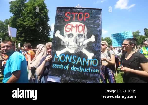 Modified stop sign Stock Videos & Footage - HD and 4K Video Clips - Alamy