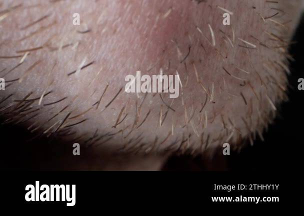 Extreme macro close up male Stock Videos & Footage - HD and 4K Video ...