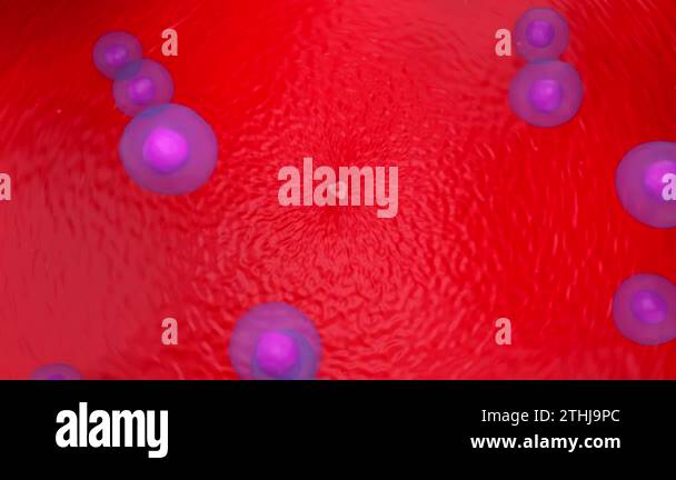 Tumor cells t cells Stock Videos & Footage - HD and 4K Video Clips - Alamy