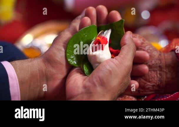 Hindu coin Stock Videos & Footage - HD and 4K Video Clips - Alamy