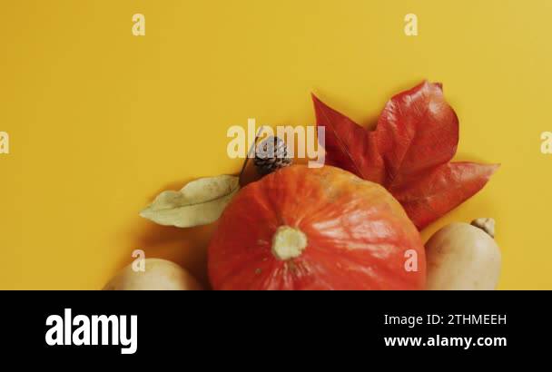 Video of pumpkins with pinecones and autumn leaves on orange background ...