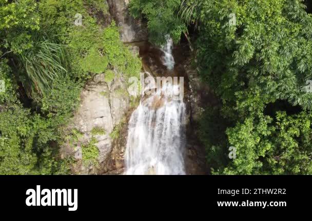 View of Rainforest waterfall bird Stock Videos & Footage - HD and 4K Video ...