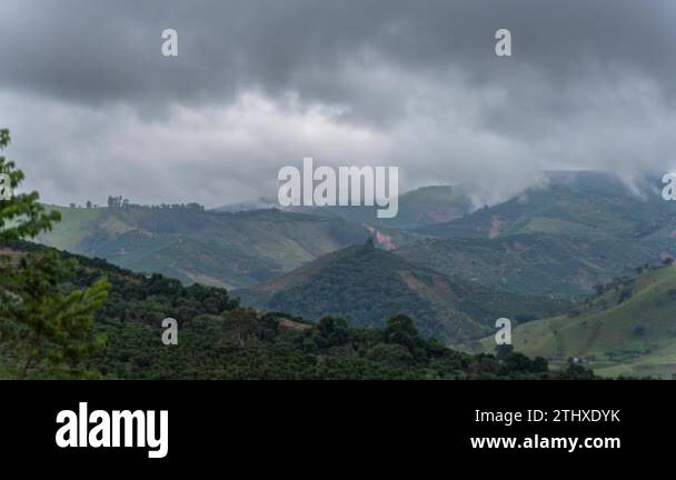 Watch this stunning time lapse video of coffee plants growing on ...