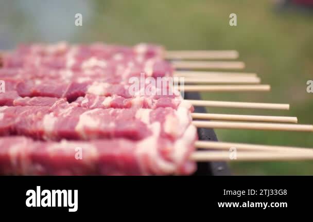 Cuoci Arrosticini Sandrigarden In Lamiera Verniciata, Griglia Acciaio Cromato, 60x15x70 Cm, Made In Italy