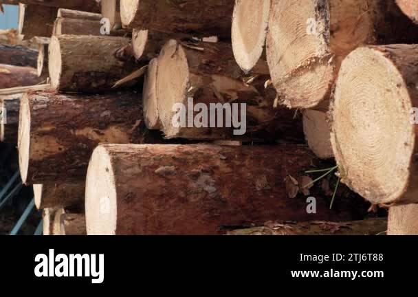 Log Lengths Stock Videos Footage Hd And 4k Video Clips Alamy