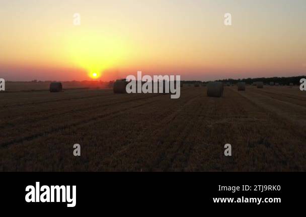 Above, dolly move forwards, view on bales of straw after harvest, in ...