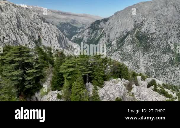 Stunning Mountain Aquascapes: A Majestic Transformation
