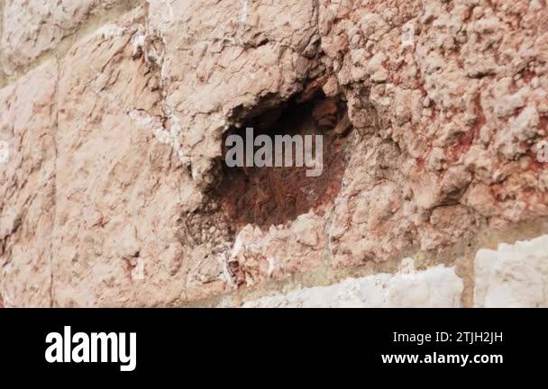 Artillery battle damage Stock Videos & Footage - HD and 4K Video Clips ...