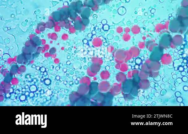 Molecules of a chemical. Animation of rotation at the cellular level in ...