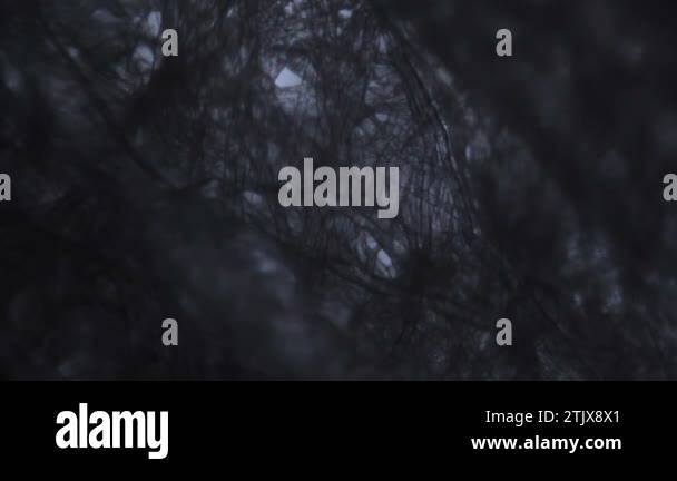 Fibrille Paper Cellulose fiber paper fibers Stock Videos & Footage - HD and 4K Video ...