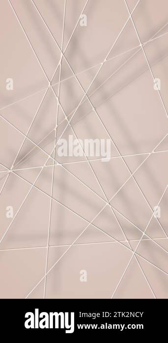 Spider texture Stock Videos & Footage - HD and 4K Video Clips - Alamy