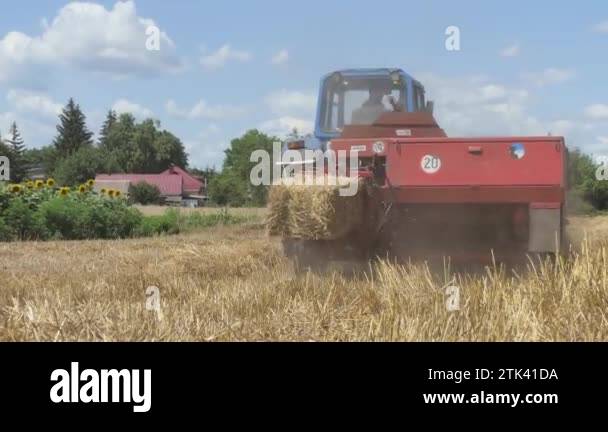 Tractor in field raking straw with rotary hay rake in preparation for ...