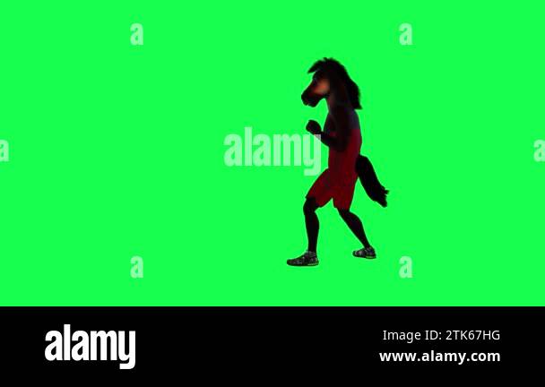 3D wild brown talking animated horse fighting and kicking from right ...