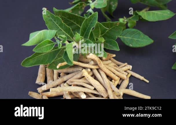 Enhanced Fat Burning