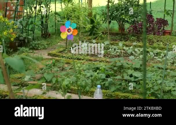 Singapore Gardening Stock Videos Footage Hd And 4k Video Clips Alamy