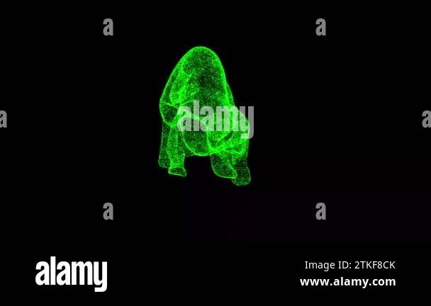 3D Panther rotates on black background. Predatory animal concept ...