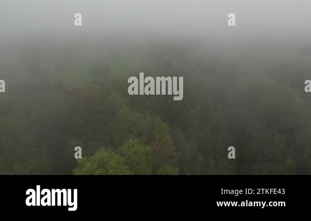 Misty conditions in moorland Stock Videos & Footage - HD and 4K Video ...