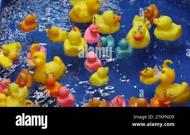 Fishing Yellow Rubber Ducks in Pool of Water Amusement Park Game Stock  Video Footage - Alamy