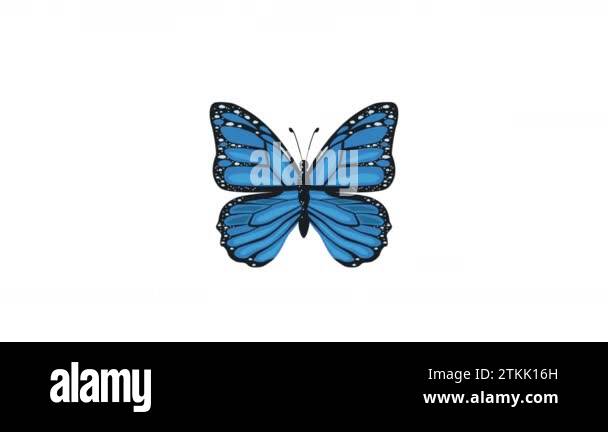 blue butterfly insect flying animation ,4k video animated Stock Video ...