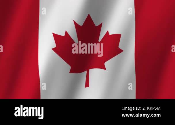 Canadian Flag National 3d Canada Flag Waving Flag Of Canada Footage