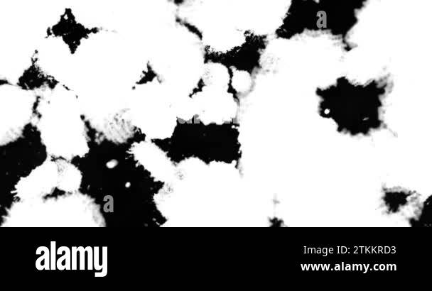 abstract paint brush stroke shape white ink splattering flowing and ...