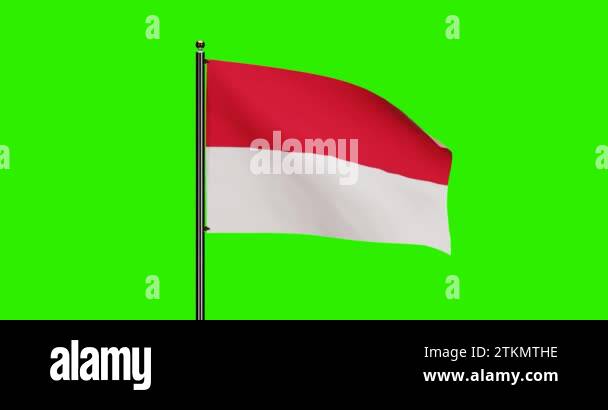 3d Rendered Indonesia National Flag Waving Animation With Realistic 3d Rendered Indonesia National Flag Waving Animation With Realistic