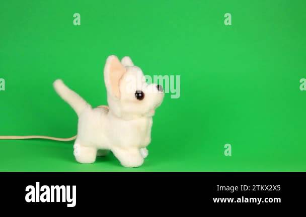 Toy dog barking Stock Videos & Footage - HD and 4K Video Clips - Alamy