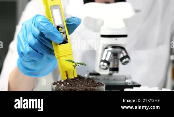 Chemist scientist measuring soil acidity in with plant sprout using ph ...