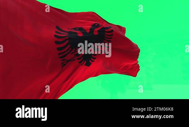 Albanian national flag waving in the wind on green background. Red flag ...