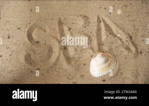 Inscription sea on sand, at bottom through clear water, next to shell ...