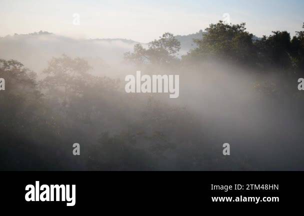 The mist flows through the mountain forest, Sun shining into tropical ...