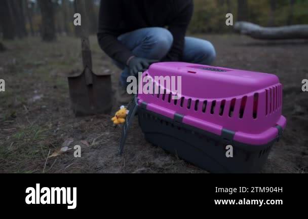 Picture of Topic is burying a pet by himself in the forest. Man owner of a dead ...