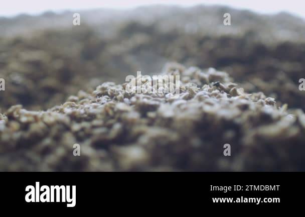 Brewing equipment used in Stock Videos & Footage - HD and 4K Video ...
