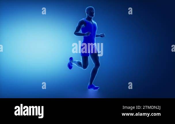 Man legs muscles anatomy Stock Videos & Footage - HD and 4K Video Clips ...