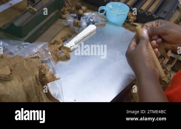 Cigar making machine Stock Videos & Footage - HD and 4K Video Clips - Alamy
