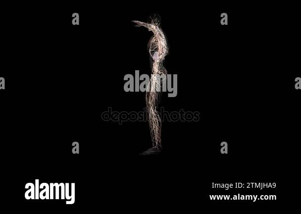 Human anatomy. The anatomical model of a human lymphatic system is ... Biology Diagrams