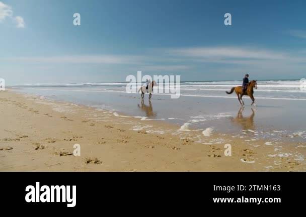 Two horse riders on beach Stock Videos & Footage - HD and 4K Video ...