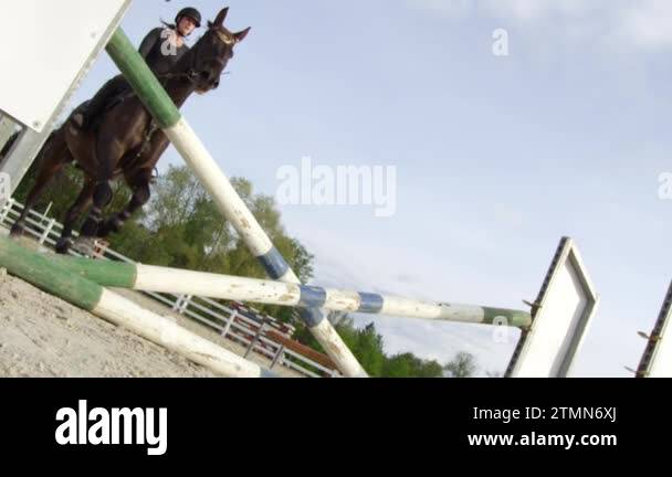 Horse jump cross Stock Videos & Footage - HD and 4K Video Clips - Alamy