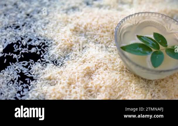 Close-up shot of raw lachkari kolam rice grains on a black surface ...