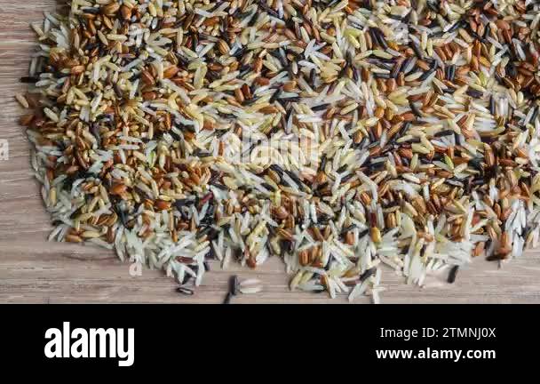 Stop motion video. The mixed different rice varieties are divided into ...
