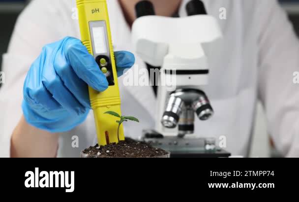 Chemist determines state of soil acidity with professional pH meter ...