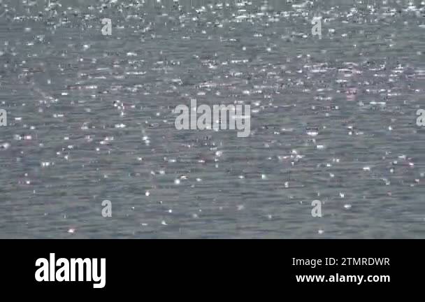 Sun glare on the surface of a quiet summer lake. Shining sun stars on ...