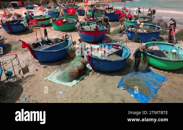 Vietnam June 2, 2023 Crew of fishermen is working sorting out fishing ...
